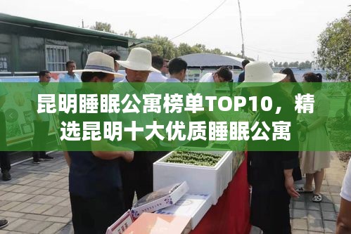 昆明睡眠公寓榜單TOP10，精選昆明十大優(yōu)質(zhì)睡眠公寓