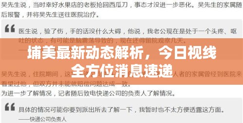 埔美最新動態(tài)解析，今日視線全方位消息速遞