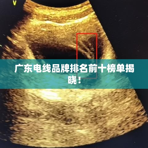 廣東電線品牌排名前十榜單揭曉！