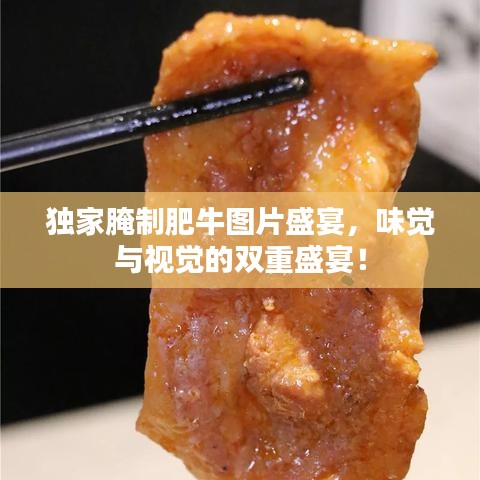 獨家腌制肥牛圖片盛宴，味覺與視覺的雙重盛宴！