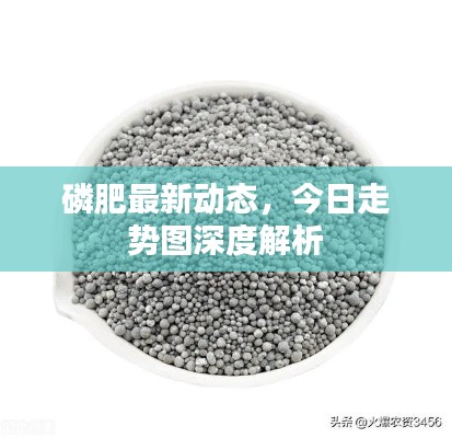 磷肥最新動(dòng)態(tài)，今日走勢圖深度解析