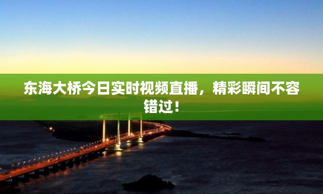 東海大橋今日實(shí)時(shí)視頻直播，精彩瞬間不容錯(cuò)過！