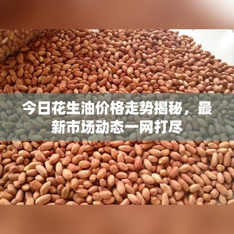 今日花生油價格走勢揭秘，最新市場動態(tài)一網(wǎng)打盡