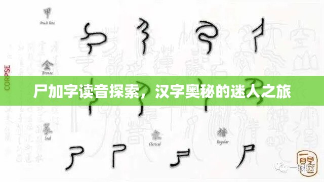尸加字讀音探索，漢字奧秘的迷人之旅