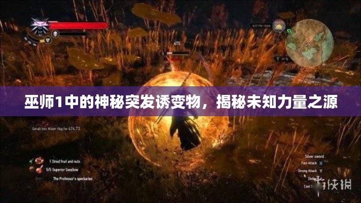 巫師1中的神秘突發(fā)誘變物，揭秘未知力量之源