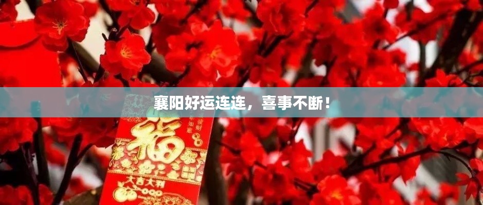 襄陽(yáng)好運(yùn)連連，喜事不斷！