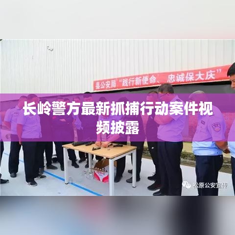長(zhǎng)嶺警方最新抓捕行動(dòng)案件視頻披露