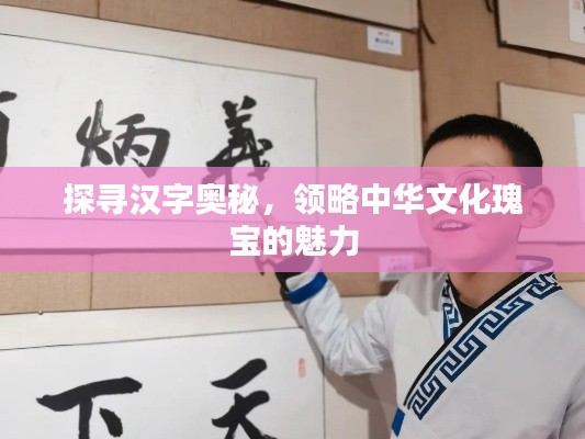 探尋漢字奧秘，領(lǐng)略中華文化瑰寶的魅力