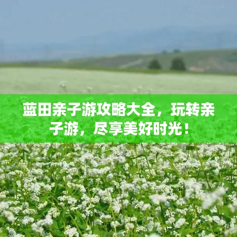 藍田親子游攻略大全，玩轉親子游，盡享美好時光！
