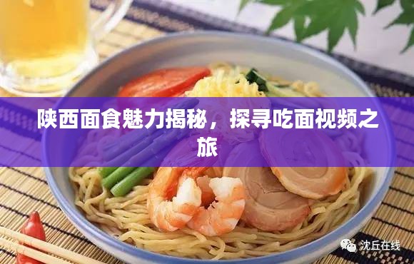 陜西面食魅力揭秘，探尋吃面視頻之旅