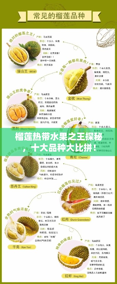 榴蓮熱帶水果之王探秘，十大品種大比拼！