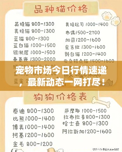 寵物市場(chǎng)今日行情速遞，最新動(dòng)態(tài)一網(wǎng)打盡！