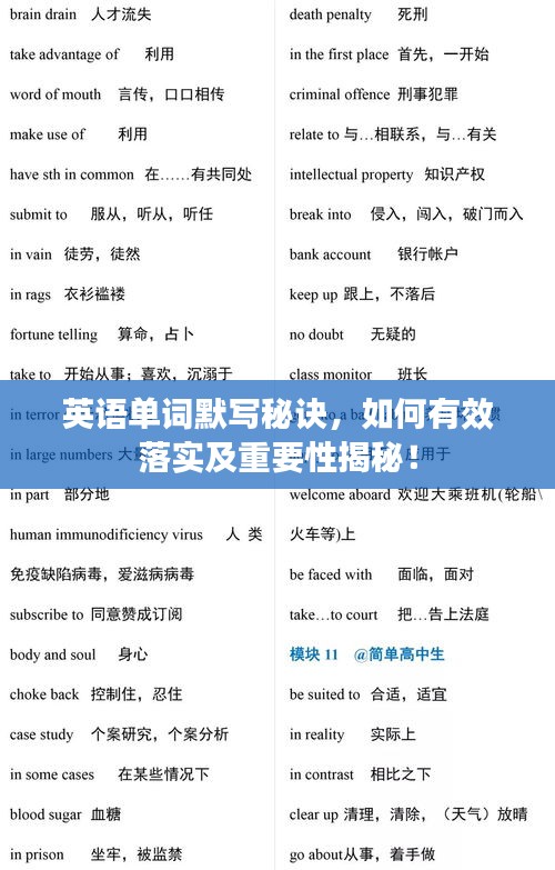 英語(yǔ)單詞默寫秘訣，如何有效落實(shí)及重要性揭秘！