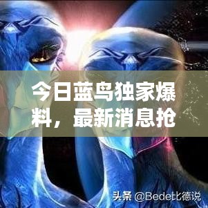 今日藍(lán)鳥獨(dú)家爆料，最新消息搶先看！