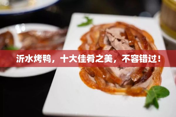2025年4月20日 第2頁(yè)