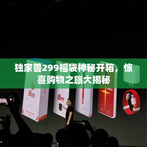 獨(dú)家獸299福袋神秘開箱，驚喜購物之旅大揭秘