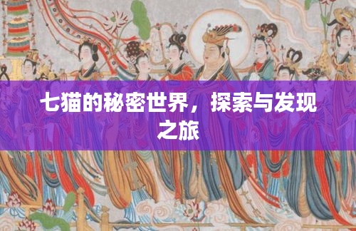 七貓的秘密世界，探索與發(fā)現(xiàn)之旅