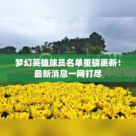 夢幻英雄球員名單重磅更新！最新消息一網(wǎng)打盡
