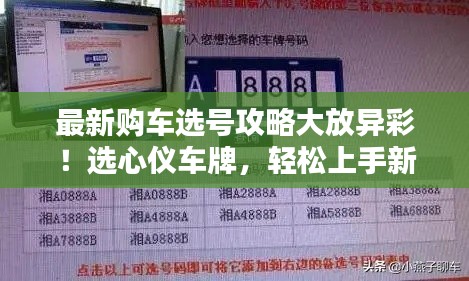 最新購車選號攻略大放異彩！選心儀車牌，輕松上手新車！