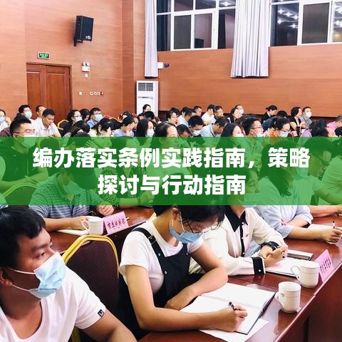 編辦落實條例實踐指南，策略探討與行動指南