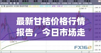 最新甘桔價格行情報告，今日市場走勢一網打盡！