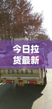 今日拉貨最新動(dòng)態(tài)速遞