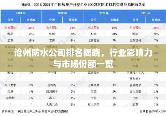 滄州防水公司排名揭曉，行業(yè)影響力與市場(chǎng)份額一覽