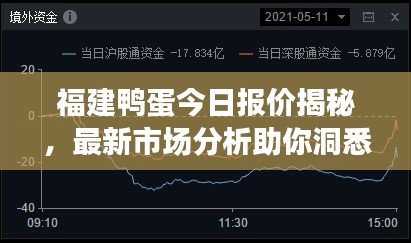 福建鴨蛋今日報價揭秘，最新市場分析助你洞悉行情！