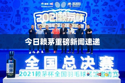 今日賴茅重磅新聞速遞