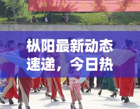 樅陽最新動態(tài)速遞，今日熱點消息一網(wǎng)打盡