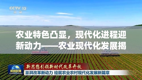 農(nóng)業(yè)特色凸顯，現(xiàn)代化進(jìn)程迎新動(dòng)力——農(nóng)業(yè)現(xiàn)代化發(fā)展揭秘！