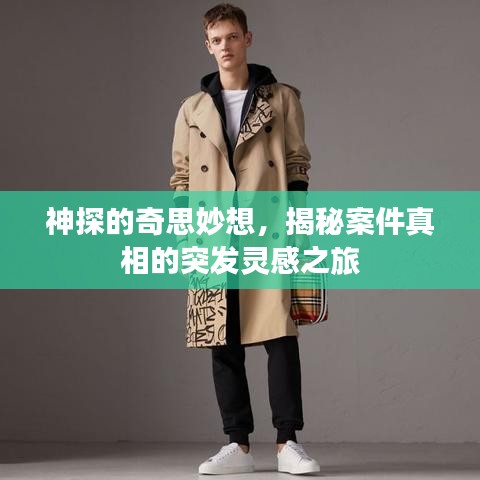 神探的奇思妙想，揭秘案件真相的突發(fā)靈感之旅