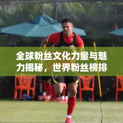 全球粉絲文化力量與魅力揭秘，世界粉絲榜排名探索