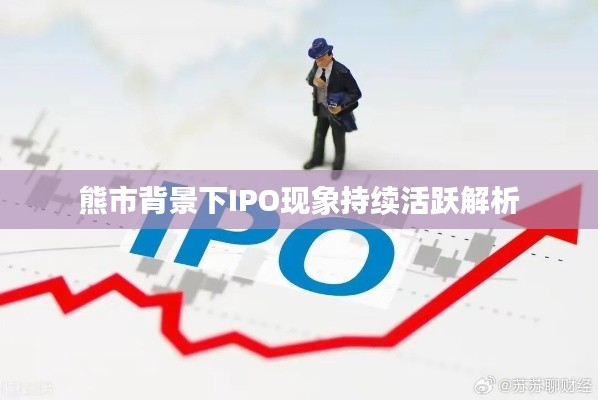 熊市背景下IPO現(xiàn)象持續(xù)活躍解析
