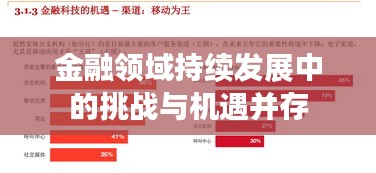 金融領(lǐng)域持續(xù)發(fā)展中的挑戰(zhàn)與機(jī)遇并存