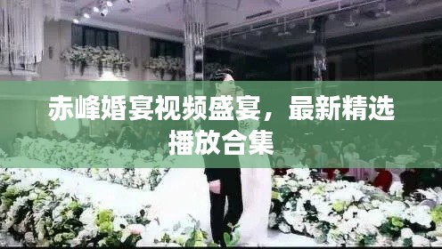 赤峰婚宴視頻盛宴，最新精選播放合集