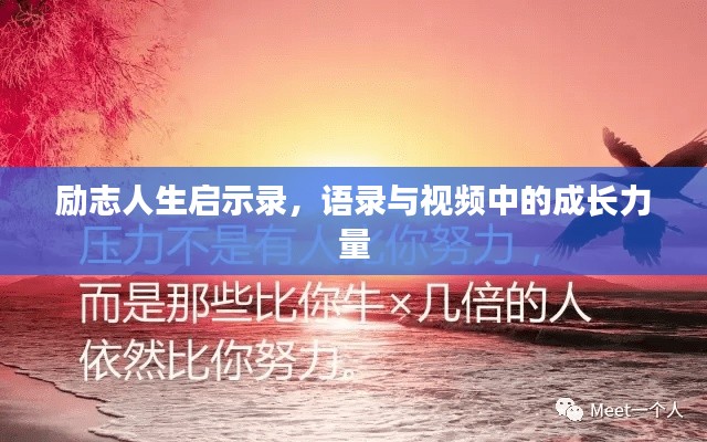 勵志人生啟示錄，語錄與視頻中的成長力量