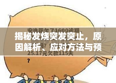 揭秘發(fā)燒突發(fā)突止，原因解析、應(yīng)對方法與預(yù)防策略全攻略