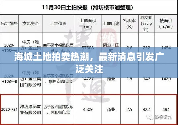 海城土地拍賣熱潮，最新消息引發(fā)廣泛關(guān)注