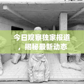今日觀察獨家報道，揭秘最新動態(tài)