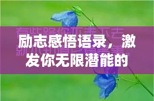 勵(lì)志感悟語錄，激發(fā)你無限潛能的深層啟示
