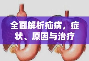 全面解析疝病，癥狀、原因與治療策略專題探討