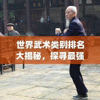 世界武術類別排名大揭秘，探尋最強武術流派！