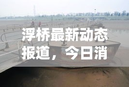 浮橋最新動(dòng)態(tài)報(bào)道，今日消息更新速遞