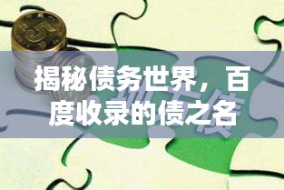 揭秘債務(wù)世界，百度收錄的債之名詞解釋