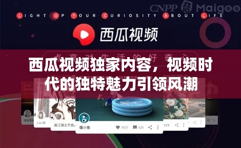 西瓜視頻獨(dú)家內(nèi)容，視頻時(shí)代的獨(dú)特魅力引領(lǐng)風(fēng)潮