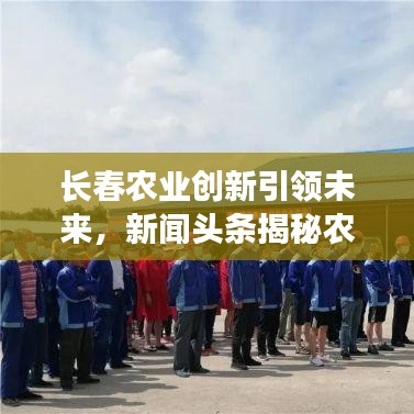 長(zhǎng)春農(nóng)業(yè)創(chuàng)新引領(lǐng)未來(lái)，新聞?lì)^條揭秘農(nóng)業(yè)新動(dòng)向與發(fā)展戰(zhàn)略