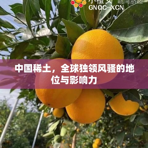 中國稀土，全球獨(dú)領(lǐng)風(fēng)騷的地位與影響力