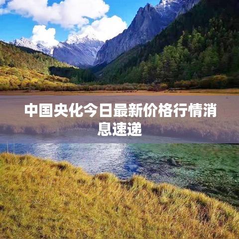 中國央化今日最新價格行情消息速遞