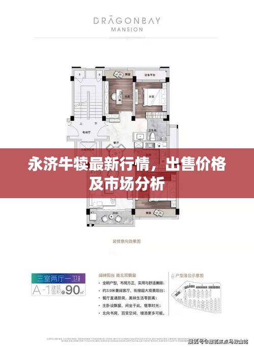 永濟牛犢最新行情，出售價格及市場分析